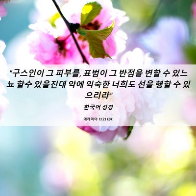 Picture 06 - 예레미야 13:23 KOR - 