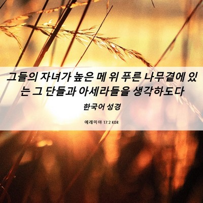 Picture 06 - 예레미야 17:2 KOR - 그들의 자녀가 높은 메 위 푸른 - Bible Verse Picture