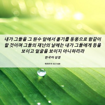 Picture 06 - 예레미야 18:17 KOR - 내가 그들을 그 원수 앞에서 흩기를 - Bible Verse Picture