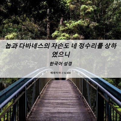 Picture 06 - 예레미야 2:16 KOR - 놉과 다바네스의 자손도 네 정수리를 - Bible Verse Picture