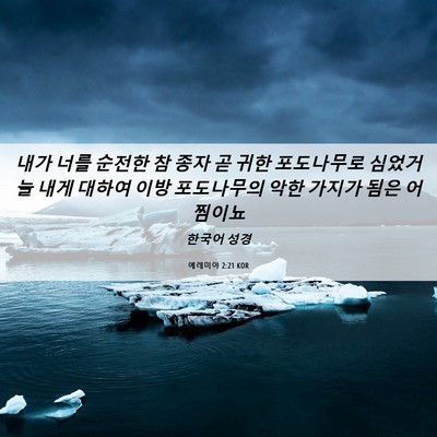 Picture 06 - 예레미야 2:21 KOR - 내가 너를 순전한 참 종자 곧 귀한 - Bible Verse Picture