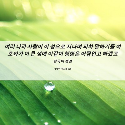 Picture 06 - 예레미야 22:8 KOR - 여러 나라 사람이 이 성으로 지나며 - Bible Verse Picture