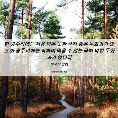 Picture 06 - 예레미야 24:2 KOR - 한 광주리에는 처음 익은 듯한 극히 - Bible Verse Picture