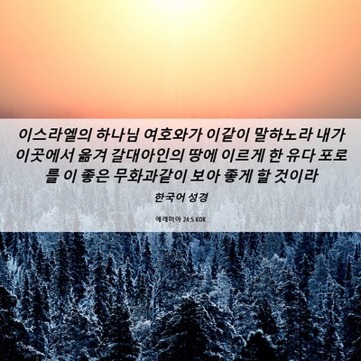 Picture 06 - 예레미야 24:5 KOR - 이스라엘의 하나님 여호와가 이같이 - Bible Verse Picture