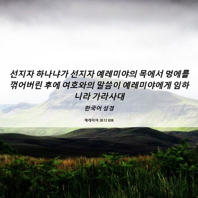 Picture 06 - 예레미야 28:12 KOR - 선지자 하나냐가 선지자 예레미야의 - Bible Verse Picture