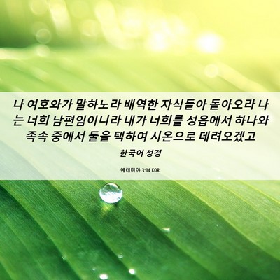 Picture 06 - 예레미야 3:14 KOR - 나 여호와가 말하노라 배역한 - Bible Verse Picture