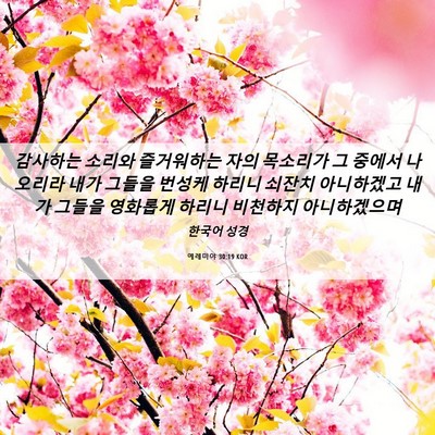 Picture 06 - 예레미야 30:19 KOR - 감사하는 소리와 즐거워하는 자의 - Bible Verse Picture