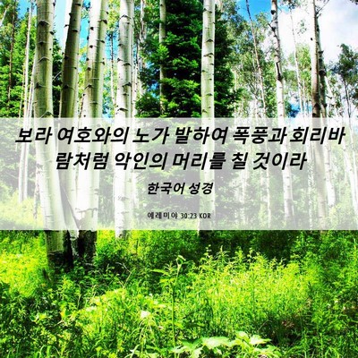 Picture 06 - 예레미야 30:23 KOR - 보라 여호와의 노가 발하여 폭풍과 - Bible Verse Picture