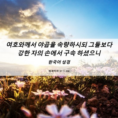 Picture 06 - 예레미야 31:11 KOR - 여호와께서 야곱을 속량하시되 - Bible Verse Picture
