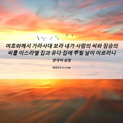 Picture 06 - 예레미야 31:27 KOR - 여호와께서 가라사대 보라 내가 - Bible Verse Picture