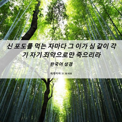 Picture 06 - 예레미야 31:30 KOR - 신 포도를 먹는 자마다 그 이가 심 - Bible Verse Picture