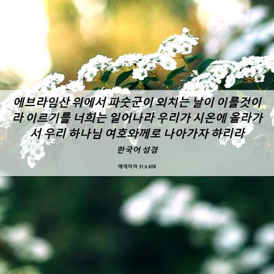 Picture 06 - 예레미야 31:6 KOR - 에브라임산 위에서 파숫군이 외치는 - Bible Verse Picture