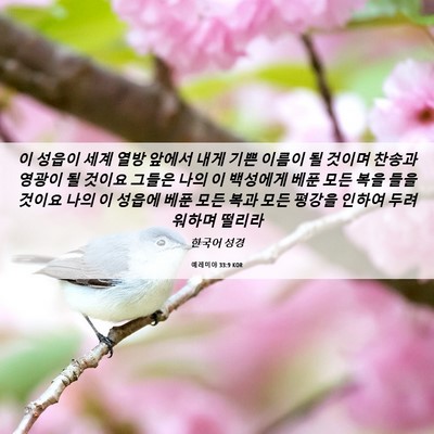 Picture 06 - 예레미야 33:9 KOR - 이 성읍이 세계 열방 앞에서 내게 - Bible Verse Picture