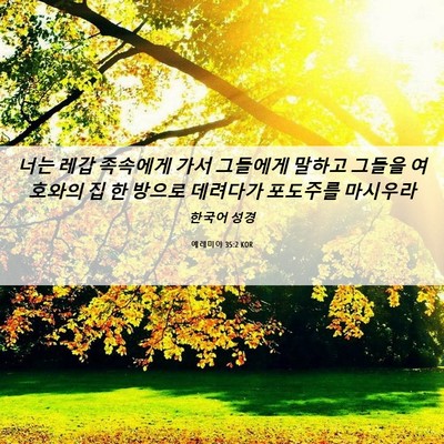 Picture 06 - 예레미야 35:2 KOR - 너는 레갑 족속에게 가서 그들에게 - Bible Verse Picture