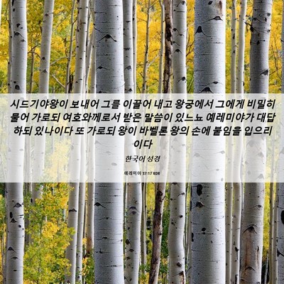 Picture 06 - 예레미야 37:17 KOR - 시드기야왕이 보내어 그를 이끌어 - Bible Verse Picture