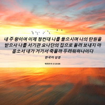 Picture 06 - 예레미야 37:20 KOR - 내 주 왕이여 이제 청컨대 나를 - Bible Verse Picture
