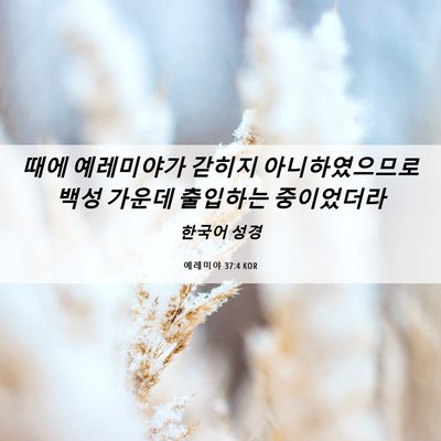Picture 06 - 예레미야 37:4 KOR - 때에 예레미야가 갇히지 - Bible Verse Picture