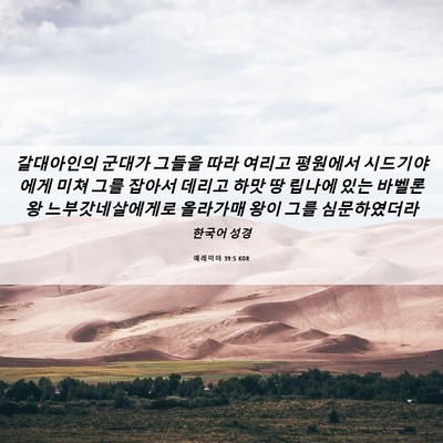 Picture 06 - 예레미야 39:5 KOR - 갈대아인의 군대가 그들을 따라 - Bible Verse Picture