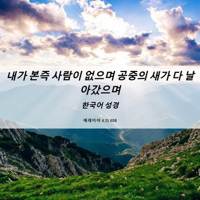 Picture 06 - 예레미야 4:25 KOR - 내가 본즉 사람이 없으며 공중의 - Bible Verse Picture