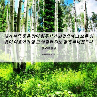 Picture 06 - 예레미야 4:26 KOR - 내가 본즉 좋은 땅이 황무지가 - Bible Verse Picture