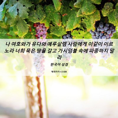 Picture 06 - 예레미야 4:3 KOR - 나 여호와가 유다와 예루살렘 - Bible Verse Picture