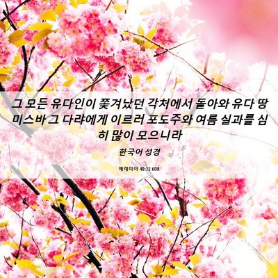 Picture 06 - 예레미야 40:12 KOR - 그 모든 유다인이 쫓겨났던 각처에서 - Bible Verse Picture