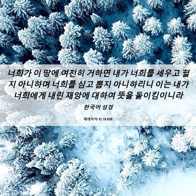 Picture 06 - 예레미야 42:10 KOR - 너희가 이 땅에 여전히 거하면 내가 - Bible Verse Picture
