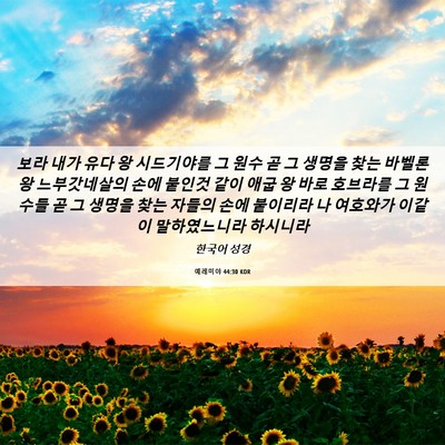 Picture 06 - 예레미야 44:30 KOR - 보라 내가 유다 왕 시드기야를 그 - Bible Verse Picture