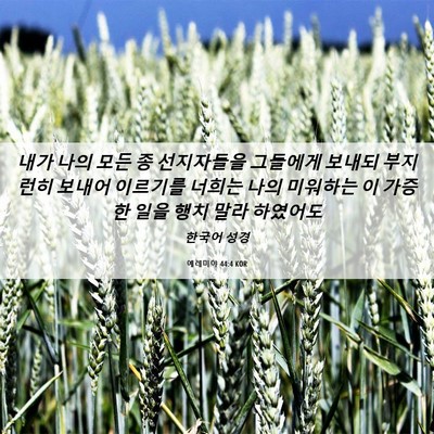 Picture 06 - 예레미야 44:4 KOR - 내가 나의 모든 종 선지자들을 - Bible Verse Picture