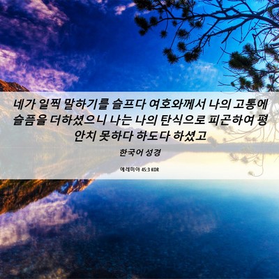 Picture 06 - 예레미야 45:3 KOR - 네가 일찍 말하기를 슬프다 - Bible Verse Picture