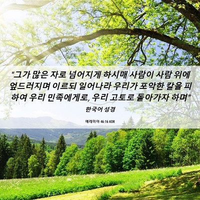 Picture 06 - 예레미야 46:16 KOR - 