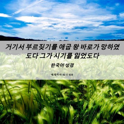 Picture 06 - 예레미야 46:17 KOR - 거기서 부르짖기를 애굽 왕 바로가 - Bible Verse Picture