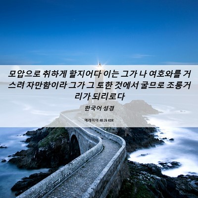 Picture 06 - 예레미야 48:26 KOR - 모압으로 취하게 할지어다 이는 그가 - Bible Verse Picture