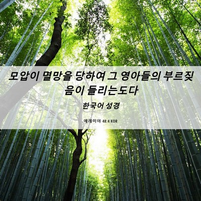 Picture 06 - 예레미야 48:4 KOR - 모압이 멸망을 당하여 그 영아들의 - Bible Verse Picture