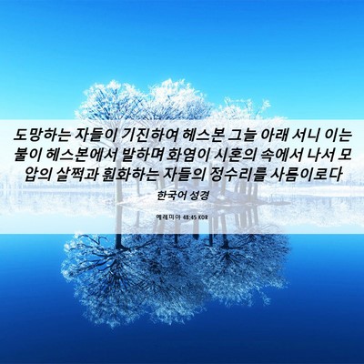 Picture 06 - 예레미야 48:45 KOR - 도망하는 자들이 기진하여 헤스본 - Bible Verse Picture