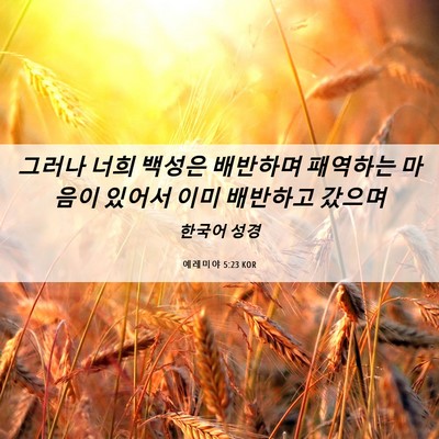 Picture 06 - 예레미야 5:23 KOR - 그러나 너희 백성은 배반하며 - Bible Verse Picture
