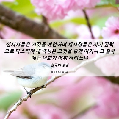 Picture 06 - 예레미야 5:31 KOR - 선지자들은 거짓을 예언하며 - Bible Verse Picture