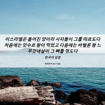Picture 06 - 예레미야 50:17 KOR - 이스라엘은 흩어진 양이라 사자들이 - Bible Verse Picture