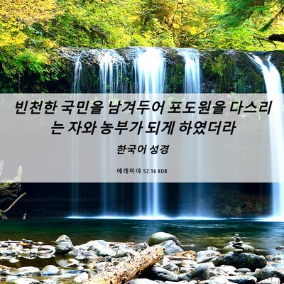 Picture 06 - 예레미야 52:16 KOR - 빈천한 국민을 남겨두어 포도원을 - Bible Verse Picture