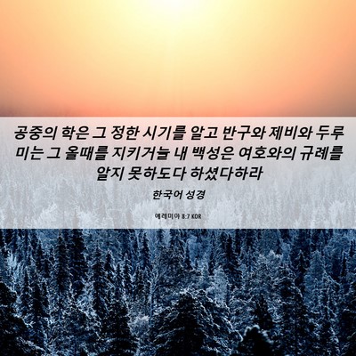 Picture 06 - 예레미야 8:7 KOR - 공중의 학은 그 정한 시기를 알고 - Bible Verse Picture