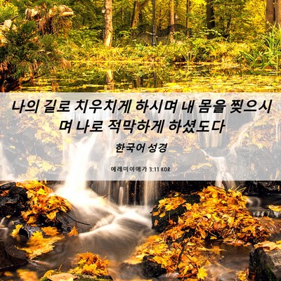 Picture 06 - 예레미야애가 3:11 KOR - 나의 길로 치우치게 하시며 내 몸을 - Bible Verse Picture