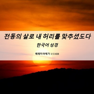 Picture 06 - 예레미야애가 3:13 KOR - 전동의 살로 내 허리를 - Bible Verse Picture