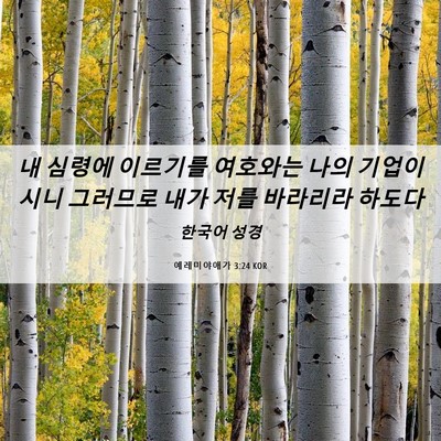 Picture 06 - 예레미야애가 3:24 KOR - 내 심령에 이르기를 여호와는 나의 - Bible Verse Picture
