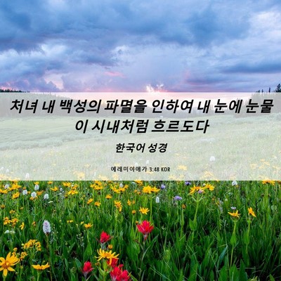 Picture 06 - 예레미야애가 3:48 KOR - 처녀 내 백성의 파멸을 인하여 내 - Bible Verse Picture