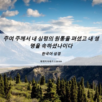 Picture 06 - 예레미야애가 3:58 KOR - 주여 주께서 내 심령의 원통을 - Bible Verse Picture