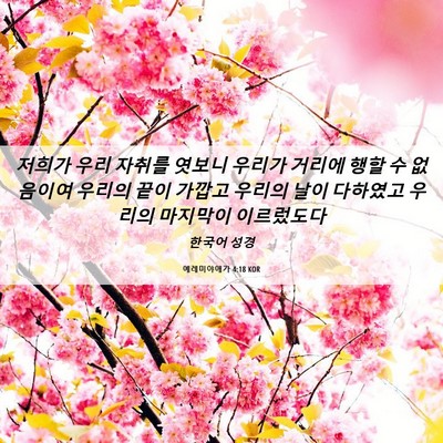 Picture 06 - 예레미야애가 4:18 KOR - 저희가 우리 자취를 엿보니 우리가 - Bible Verse Picture