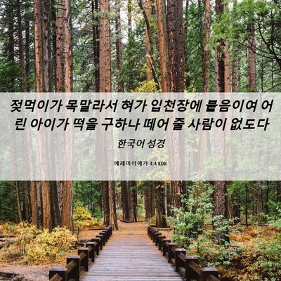 Picture 06 - 예레미야애가 4:4 KOR - 젖먹이가 목말라서 혀가 입천장에 - Bible Verse Picture