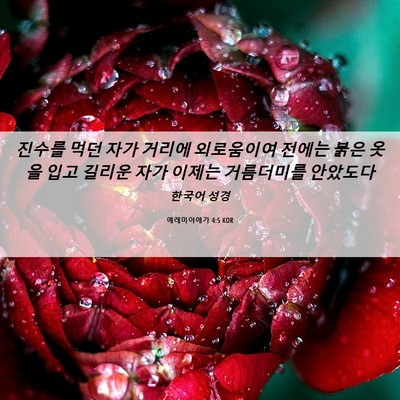 Picture 06 - 예레미야애가 4:5 KOR - 진수를 먹던 자가 거리에 외로움이여 - Bible Verse Picture