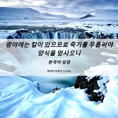 Picture 06 - 예레미야애가 5:9 KOR - 광야에는 칼이 있으므로 죽기를 - Bible Verse Picture