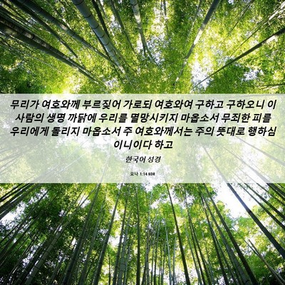 Picture 06 - 요나 1:14 KOR - 무리가 여호와께 부르짖어 가로되 - Bible Verse Picture